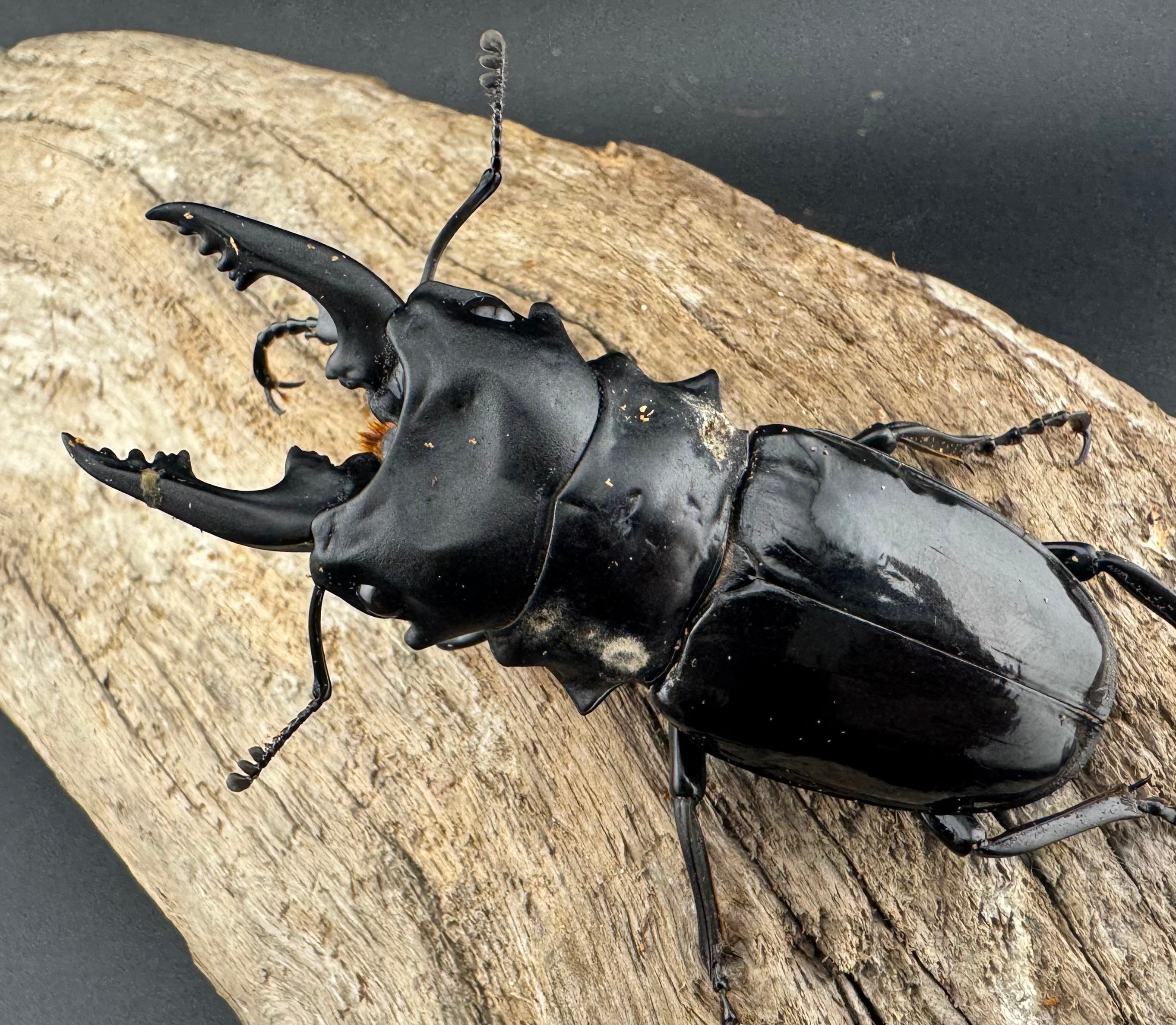 baf9415cb8daa2dce2a2849e9ca0f5