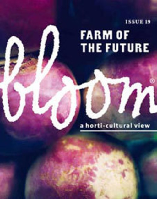 bloom ISSUE 19