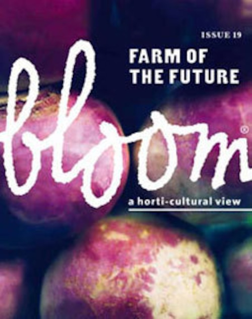 bloom ISSUE 19