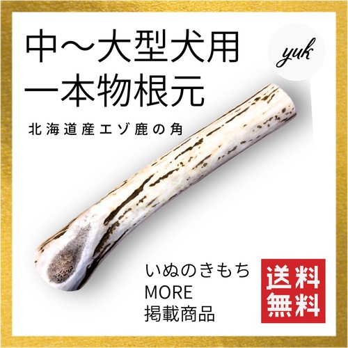 一本物　根元　中〜大型犬用　蝦夷鹿のツノ　ワンちゃん用オモチャ　ドッグガム　鹿角　