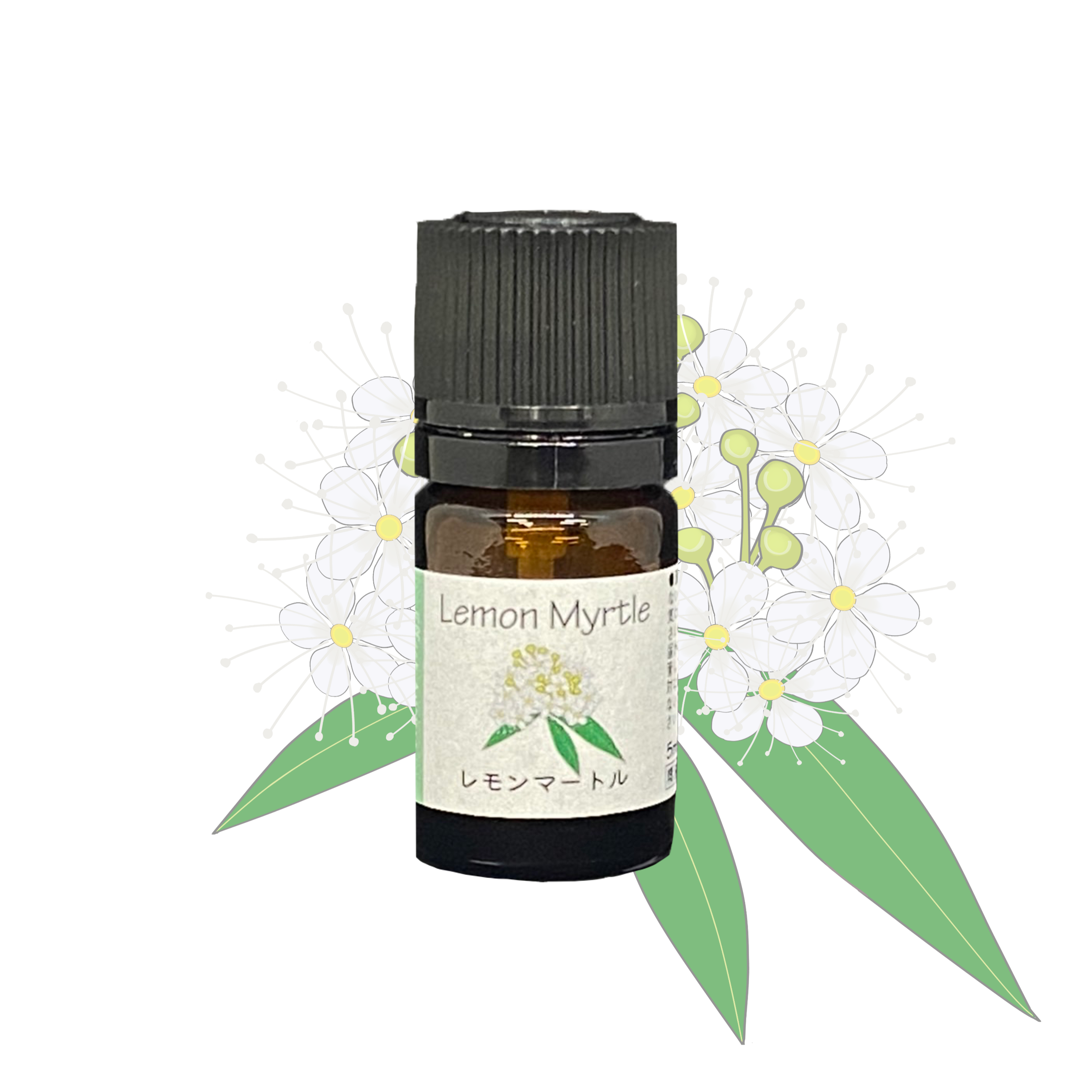 ヤングリビング ジャスミン5ml 新品未使用 新品未使用】ヤングリビング