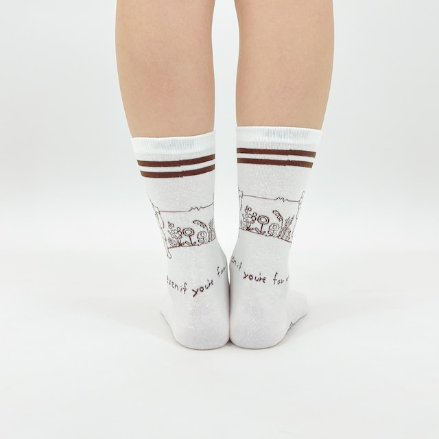 【Junichi Koka】江夏潤一 SOCKS even if you're far away ソックス