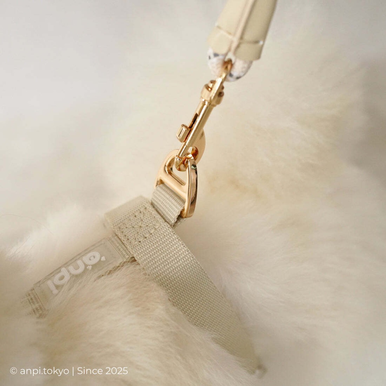 【即納】4way リード＆ゴールド