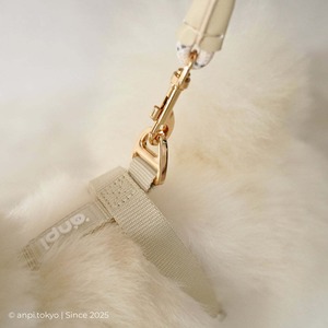 【即納】4way リード＆ゴールド