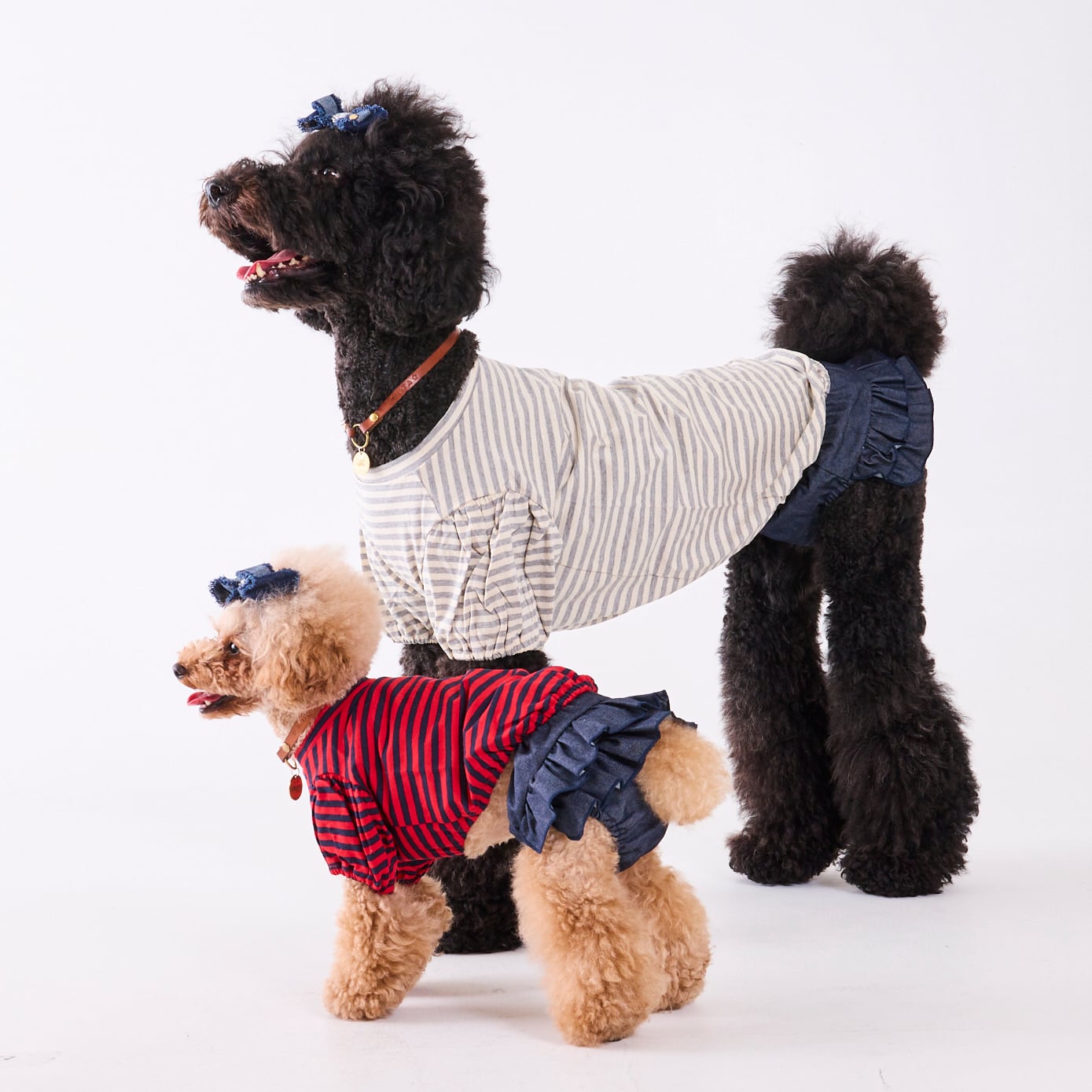 244303 大型犬サイズ] パフスリーブTシャツ | 犬服ブランド 2e