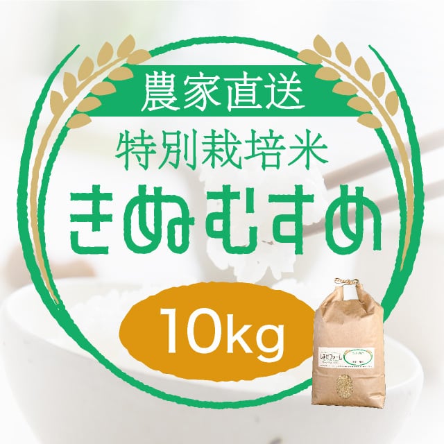 農家直売・特別栽培米 きぬむすめ 玄米10kgまたは白米9kg〈1週間以内で