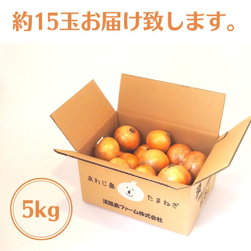 訳あり特価】淡路島 玉ねぎ 淡路島 5kg 送料無料 兵庫県 淡路島産
