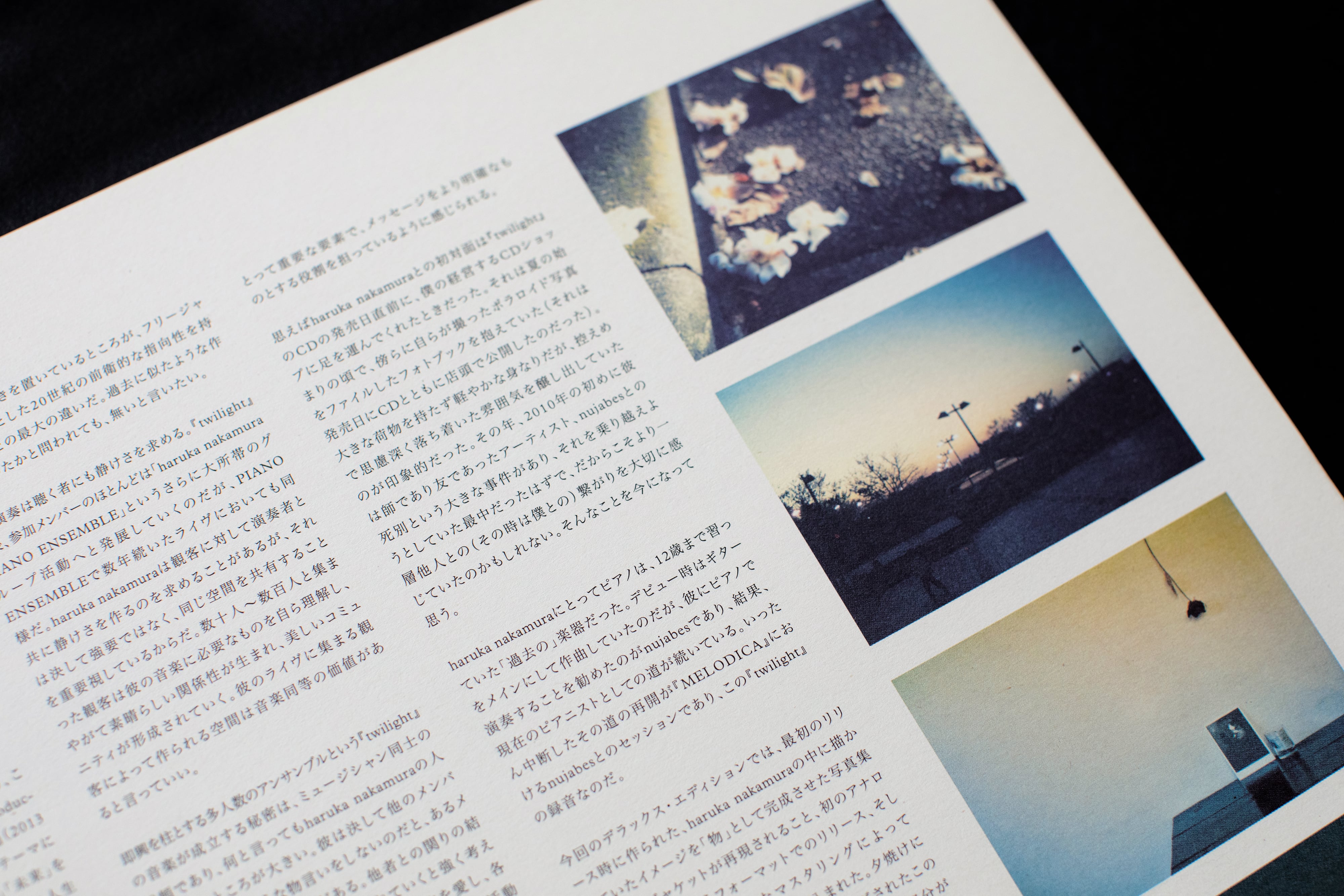 twilight 10th Anniversary Deluxe Edition（2枚組LP）＊通常ブラック