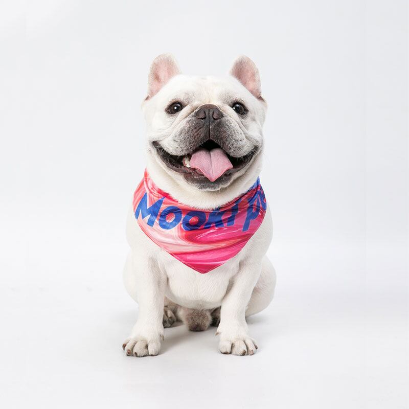 予約商品 ポップ三角スタイ 小型犬 中型犬サイズ アクセサリー よだれかけ ポップ 小型犬スタイ 中型犬スタイ 大型犬スタイ お揃い Omochi