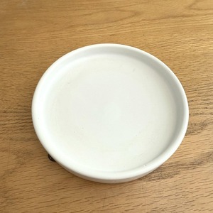 パンダガジュマル