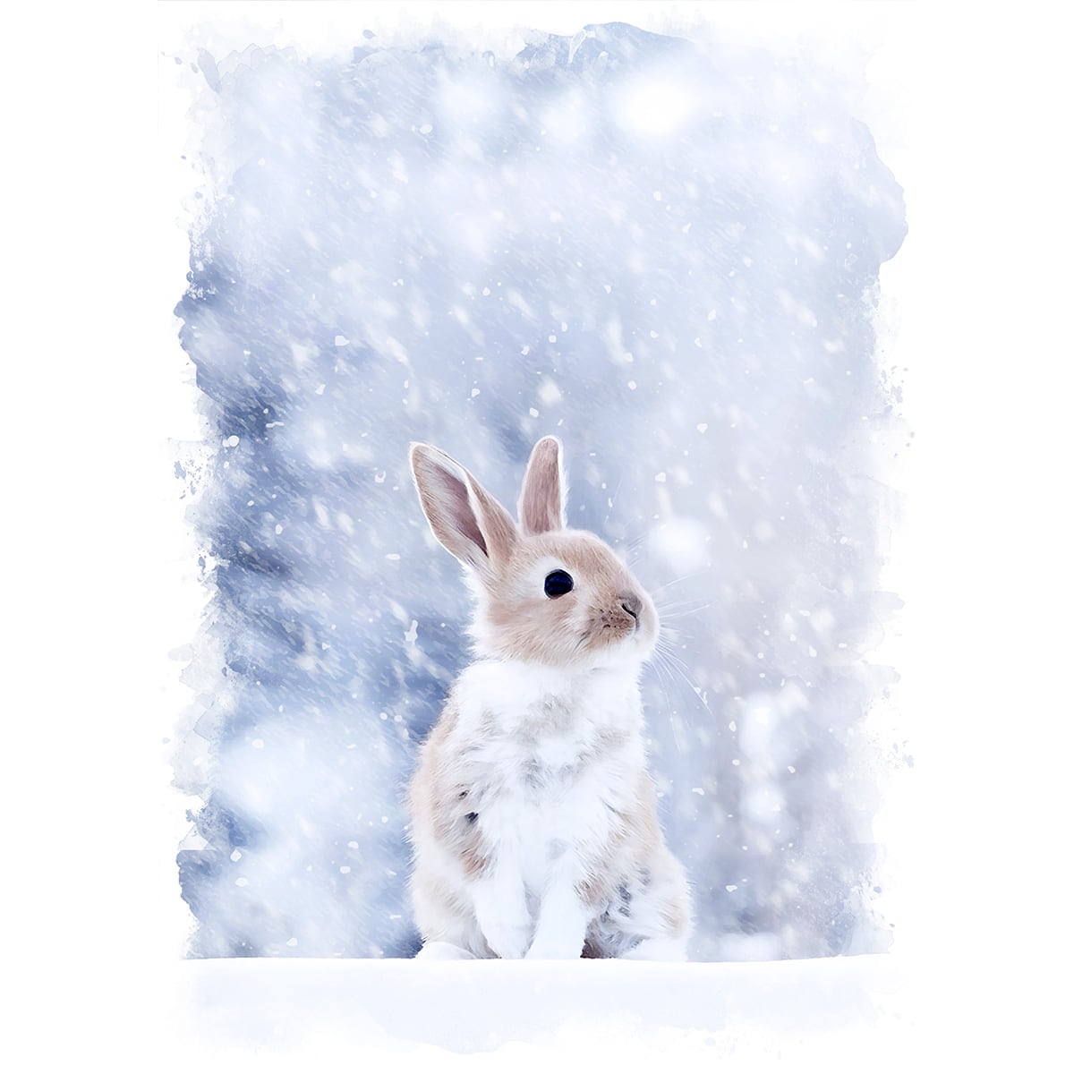 絵画 動物 額付！ 楽天市場】キャンバス地に描かれた可愛い動物 アートフレーム 壁