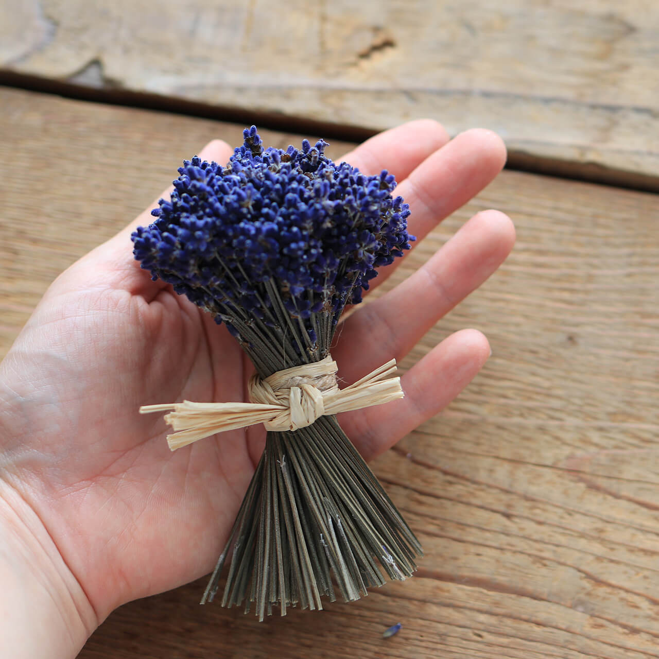 富良野ラベンダースタンドブーケ ミニ (濃紫3号)/ ドライフラワー