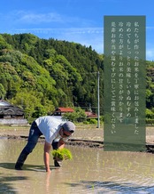 【ご挨拶米】選ぶだけメッセージ入り 3合×2個 BOXセット