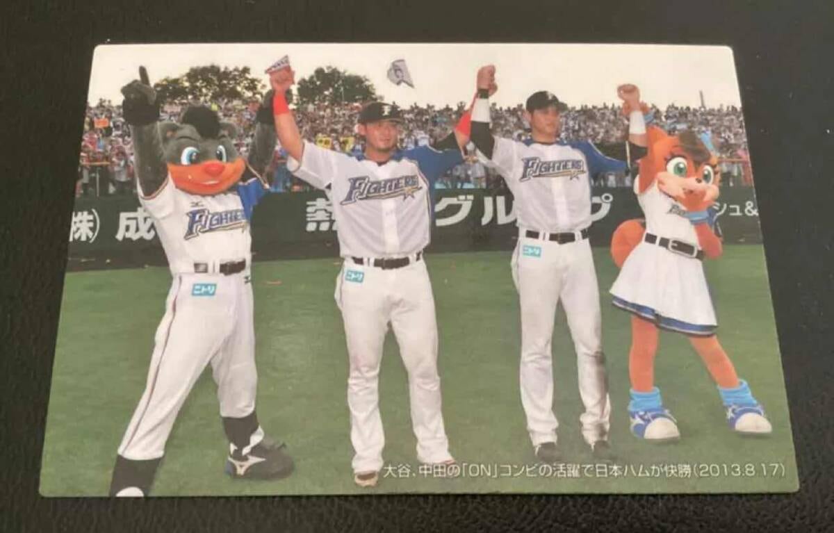 カルビー2014 大谷翔平・中田翔（日本ハム） C-02 プロ野球カード | 龍