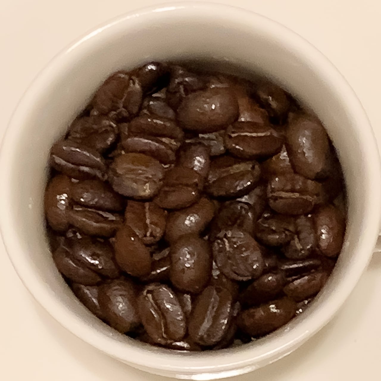 コロンビア マグダレナ SUP 100g | 黒猫屋珈琲店