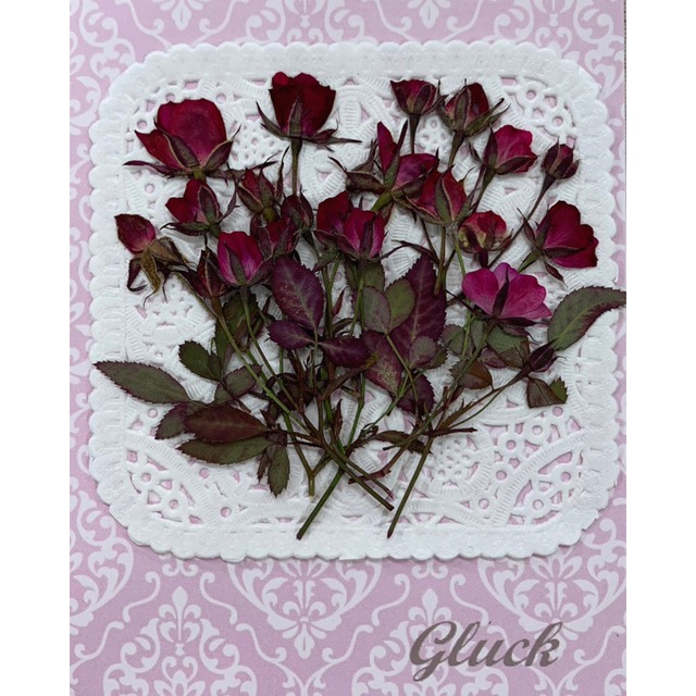 コンパクト押し花　ミニバラ 着色ローズピンク　少量をパックにしてお届け！　押し花素材