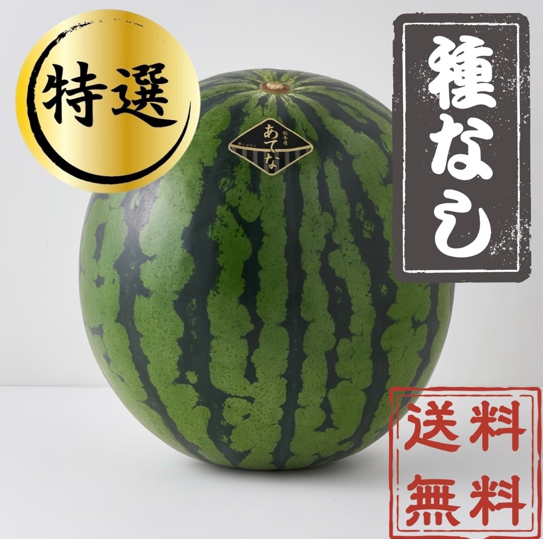 熊本県産 あてな【上選】 | 石戦（SEKISEN）