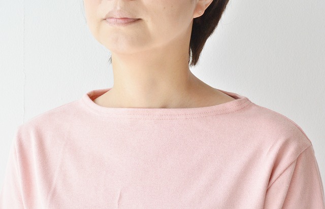 セントジェームス SAINT JAMES 無地ボートネックシャツ(OUESSANT)POUDRE T1