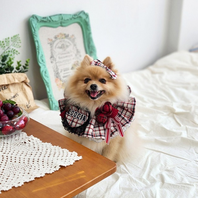 受注制作 【Loocia】 Merry berry check Cape / ペット服 犬服 猫服