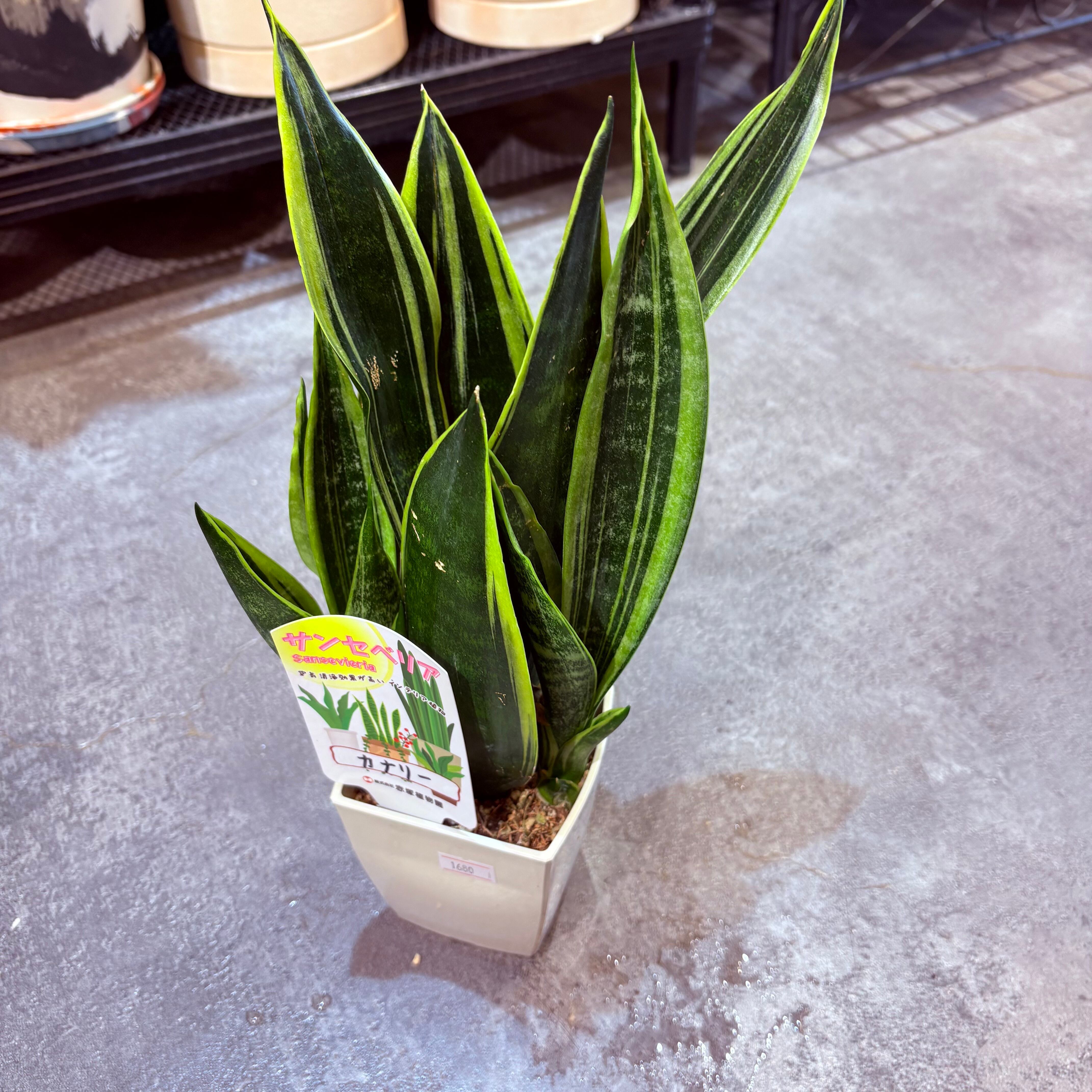 bb185219f9c9a7aa2bada8b9ddaf70