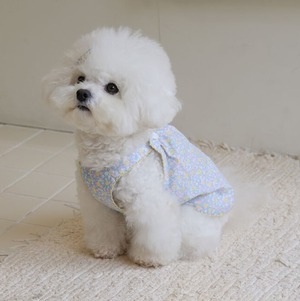 L/即納【near by us】powder top《BabyBlue》
