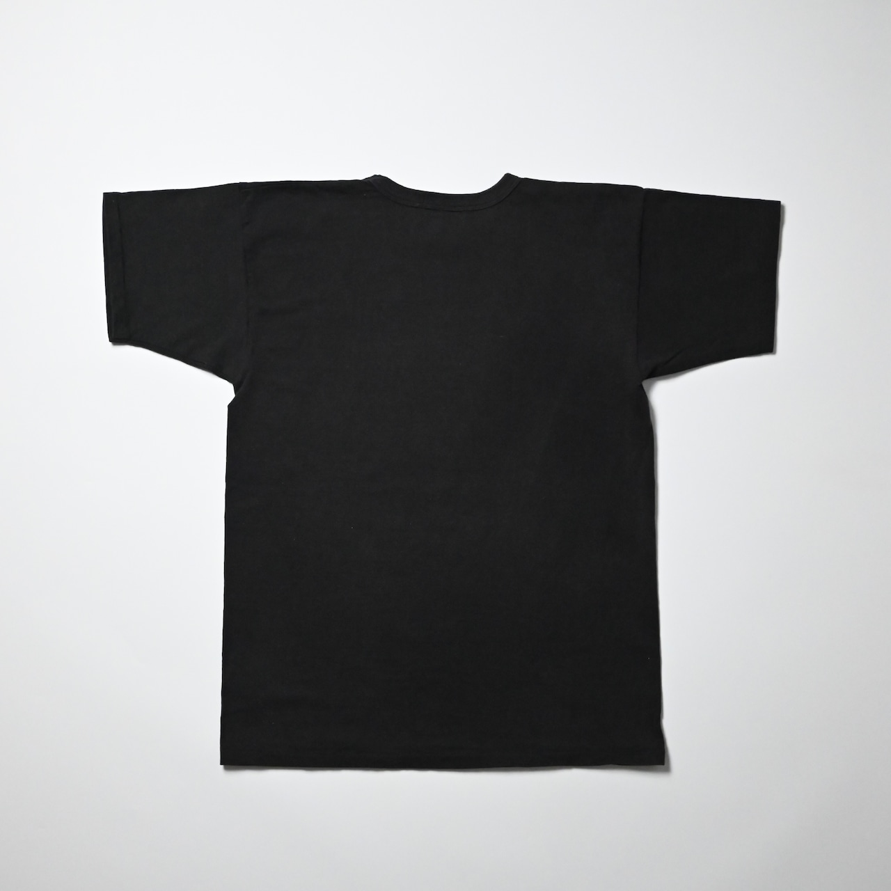 BOWWOW / SALISH LODGE TEE AGED