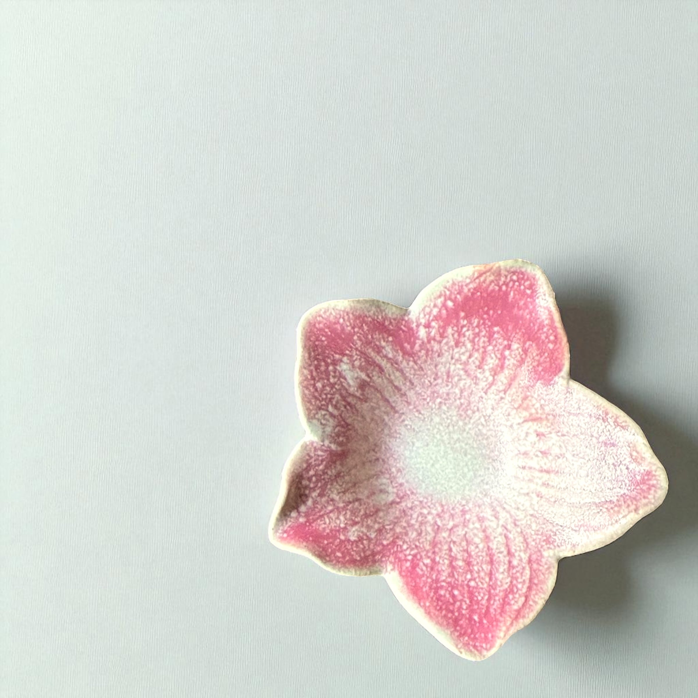 作家　陶芸作家　田中恒子　花びら　葉っぱ　器 Leaves 葉皿 | TSUNE;田中恒子の器 オンラインストア