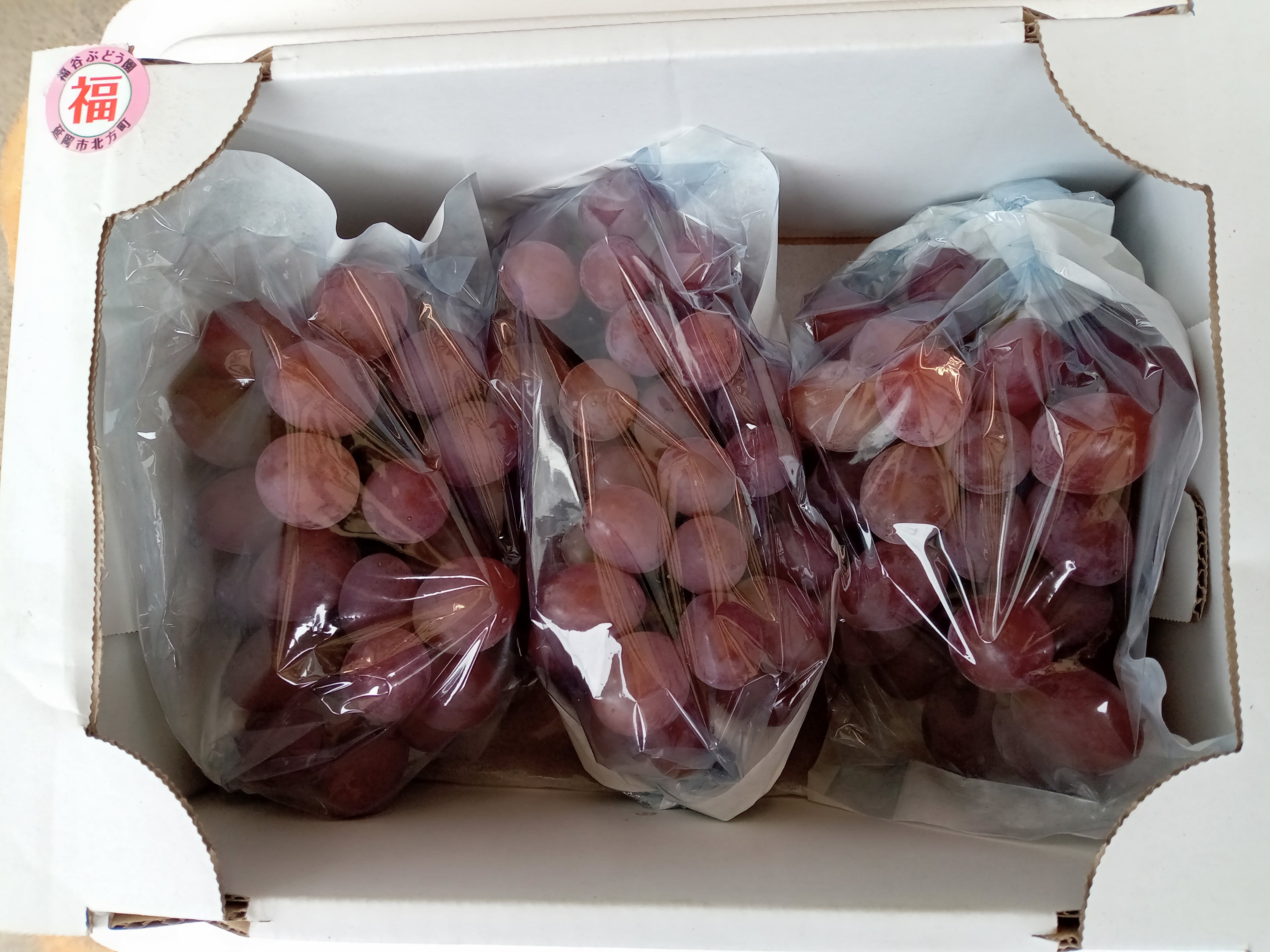 サニールージュ種なし3房入り 900g【福谷ぶどう園】026-005 | のべちょ