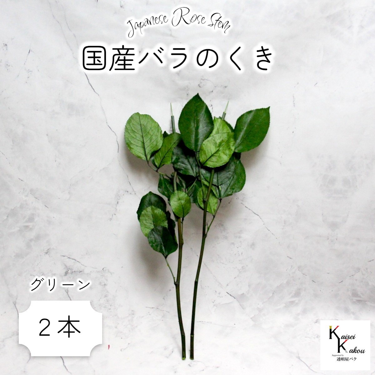大地農園！プリザーブドフラワー 「国産バラのくき グリーン 2本」 バラ用ステム プリザ 花材 ハーバリウム 国産バラ かわいい プレゼント ...