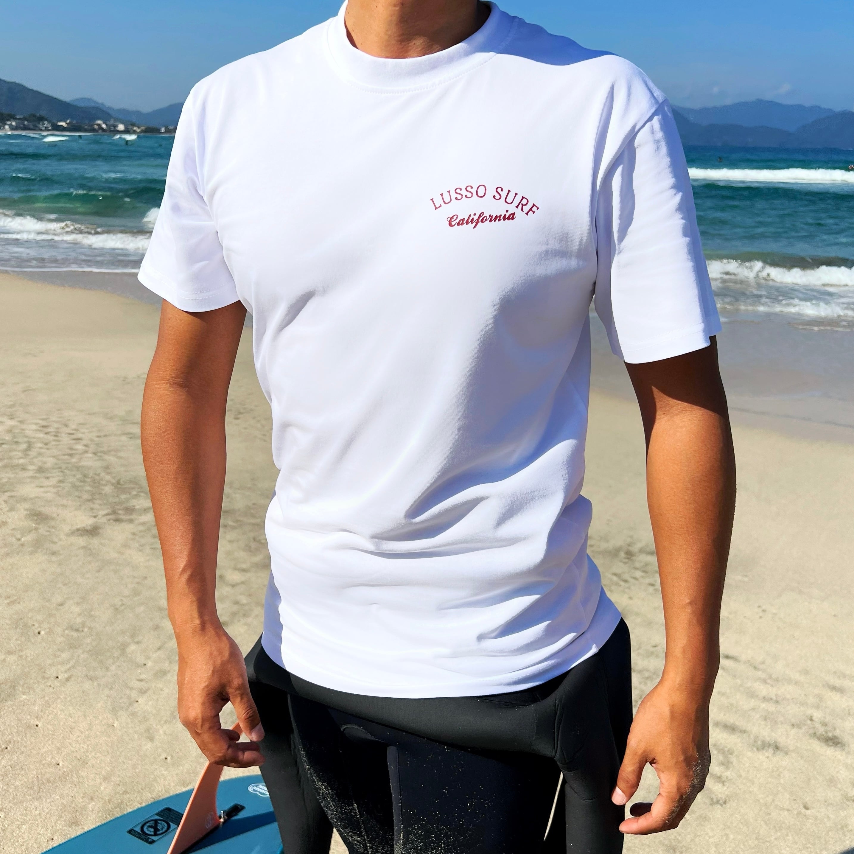 西海岸系☆LUSSO SURF カリフォルニアTシャツ L☆パーカーLセット