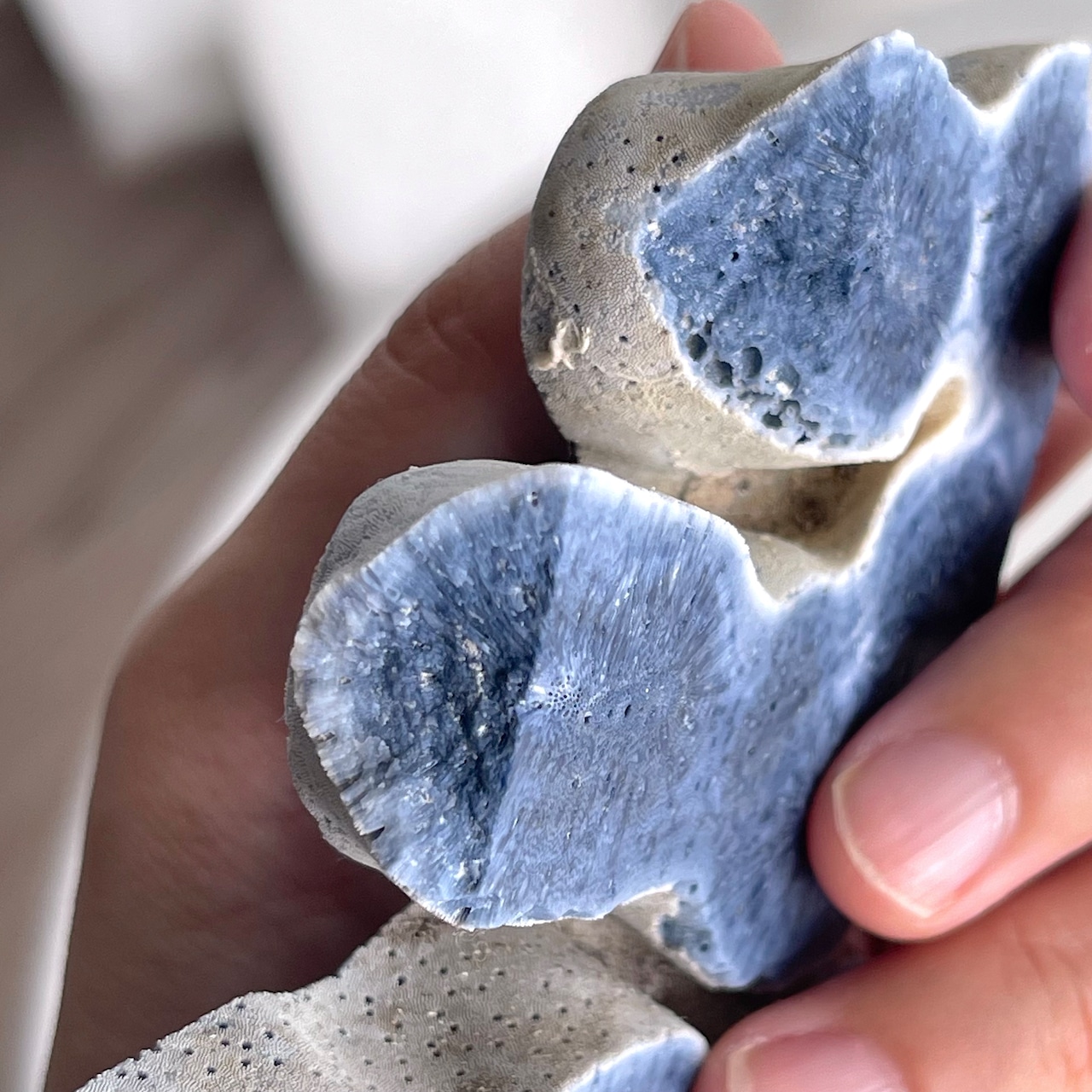 ブルーコーラル＊スラブ＊250807-01＊天然石＊置き物＊インテリアストーン