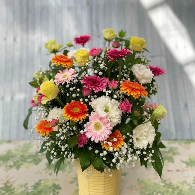 カラフルなお花で元気を贈る「カラフルモーメント」(ar0101)