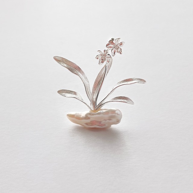 冬の花　水仙のパールブローチ