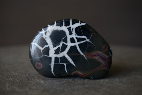 セプタリアン Septarian 1810