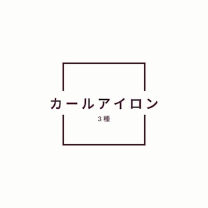 8/24 セミナー参加者限定　Kカールアイロン　