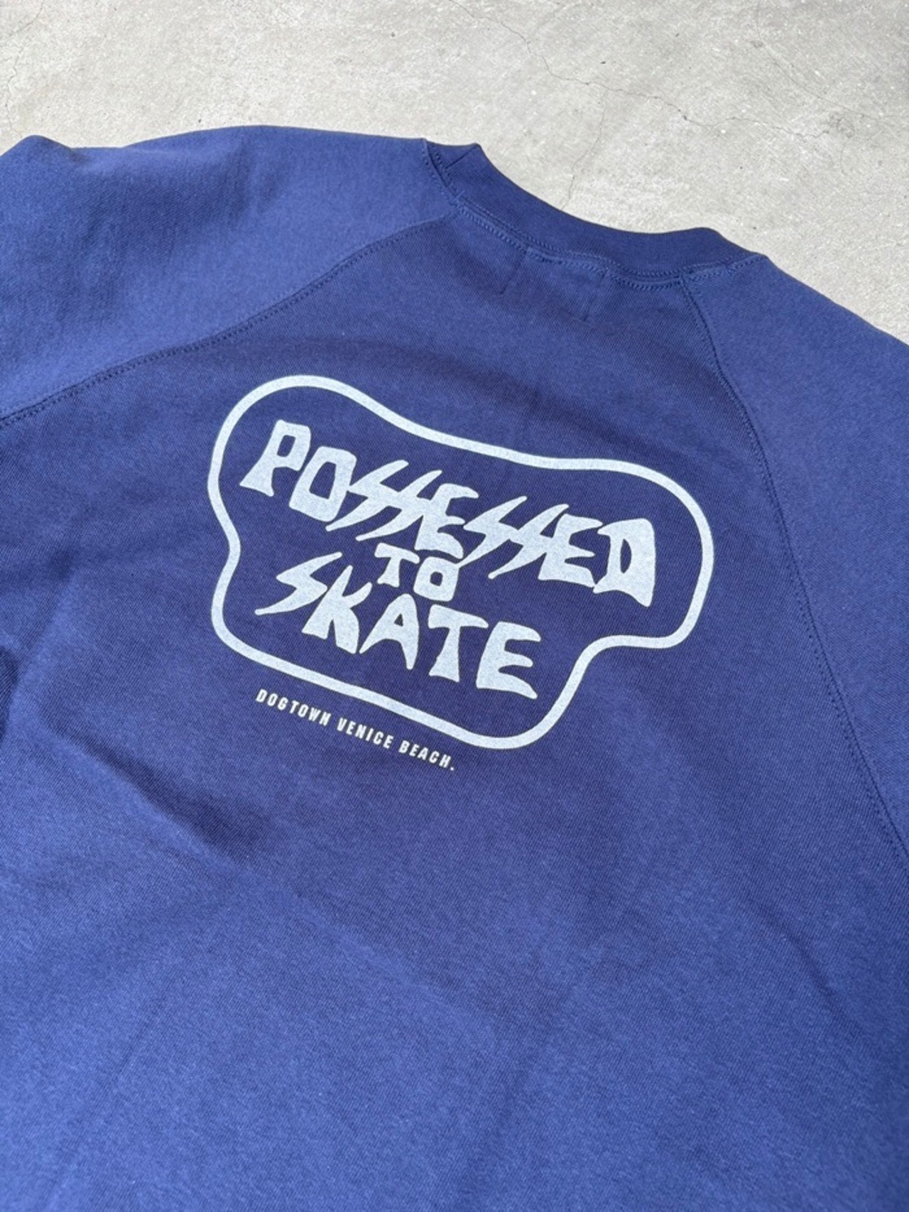 DOG TOWN / POSSESSED TO SKATE CREW SWEAT / DT2411 - 5