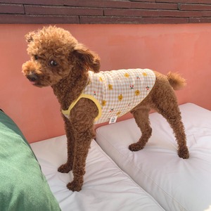 予約【pecoramou select】チェックベアーTシャツ