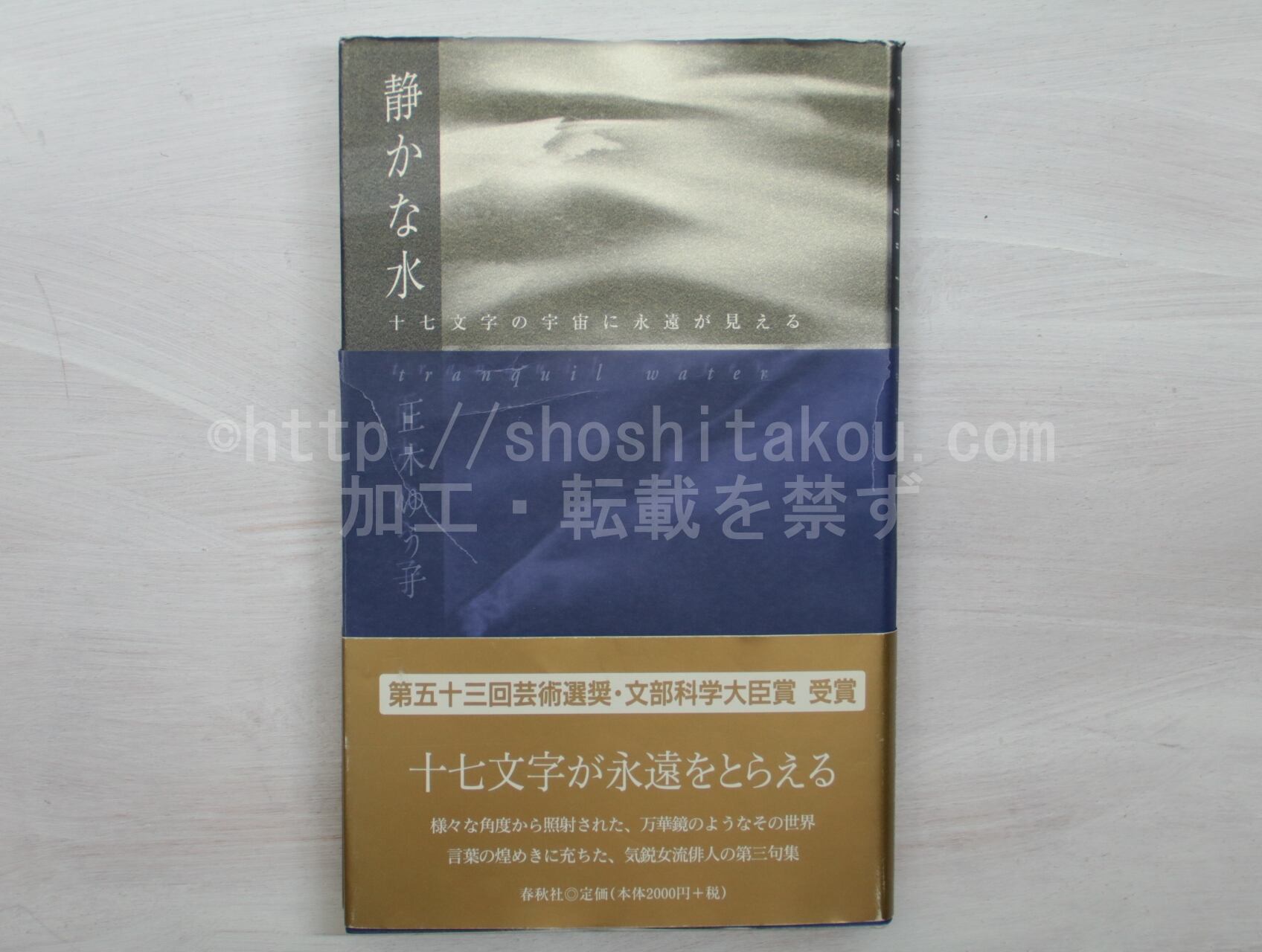 正木ゆう子　句集　水晶体 水晶体 正木ゆう子句集 / 正木ゆう子 [37633][並] | 書肆田高