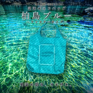 高知のエコバッグ 柏島ブルー ファスナータイプ