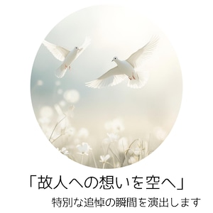 白い鳩 放鳥サービス 【葬儀・追悼】1セット(7羽)