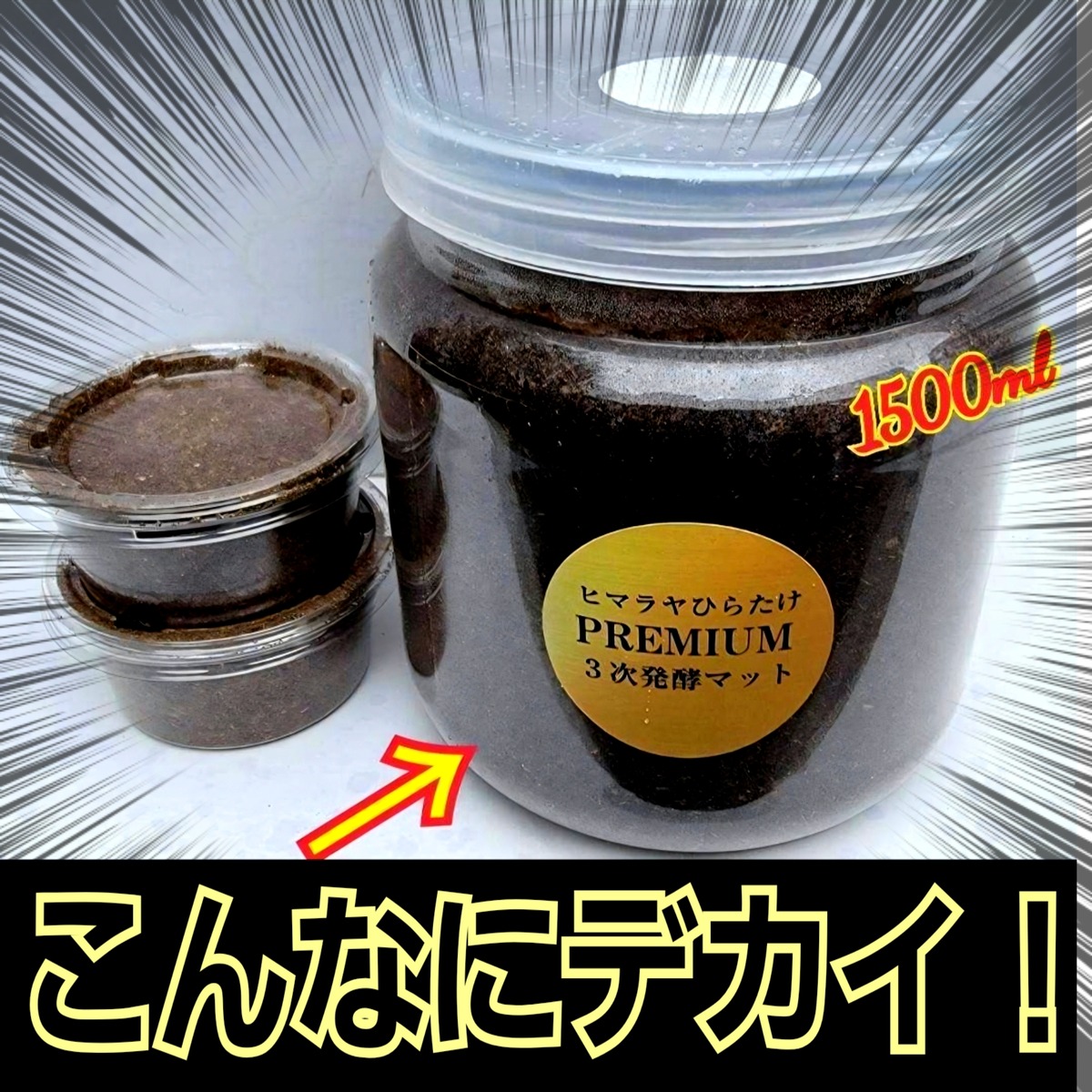 bb38a64f4f797c7b48f786926c34c5 