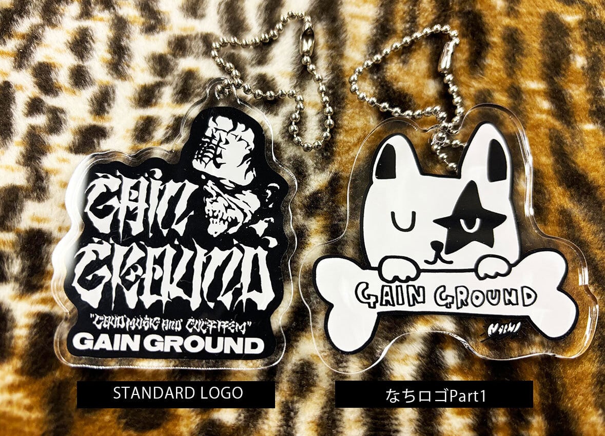 ミニマムジーク/Fuzzy CD | GAIN GROUND