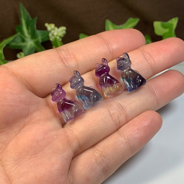 フローライトねこちゃんの集い場・フローライト