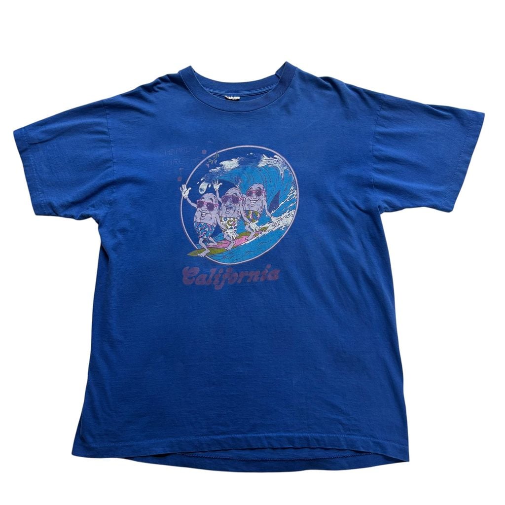 90s カリフォルニアレーズン サーフ Tシャツ XL 青 シングルステッチ I