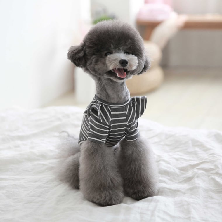 willy stripe t-shirt S ~ XL 2color / 犬服 フリル ボーダー Tシャツ ブラウス ドッグウェア シンプル トップス お出かけ ストライプ 長袖