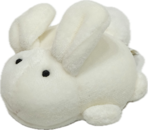 Old Stuffed Toy: Rabbit