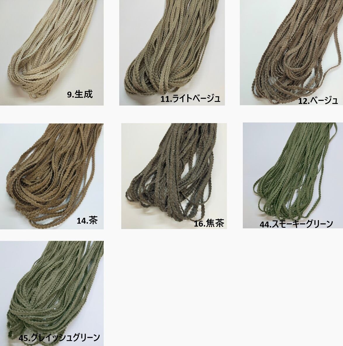 dcollectshop