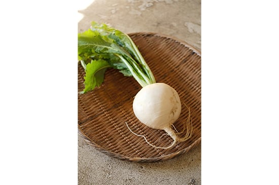 【上品な味わい】聖護院かぶ・1P