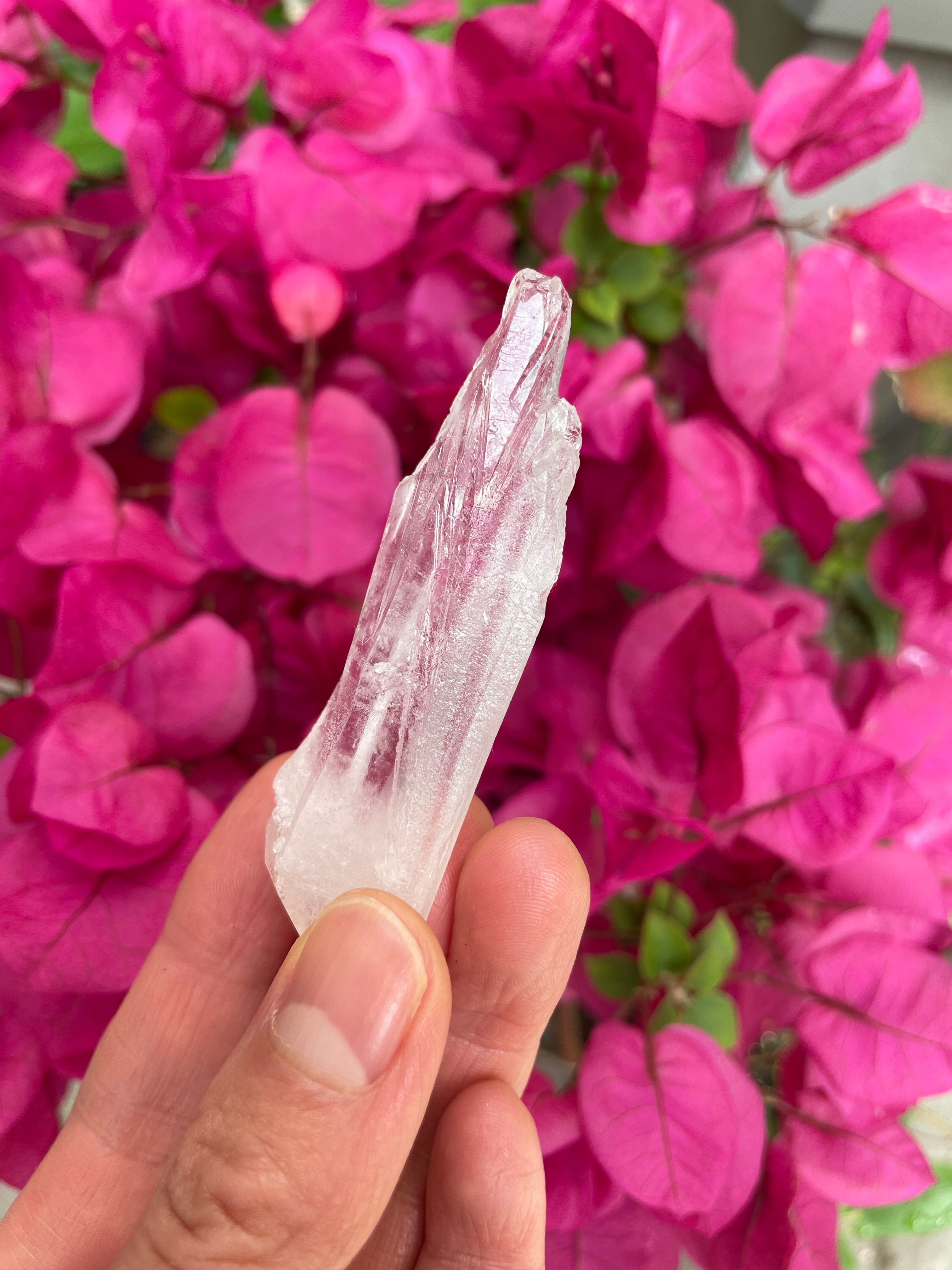 バイーア州産 女神のようなレムリアンシードクリスタル バイーア州産