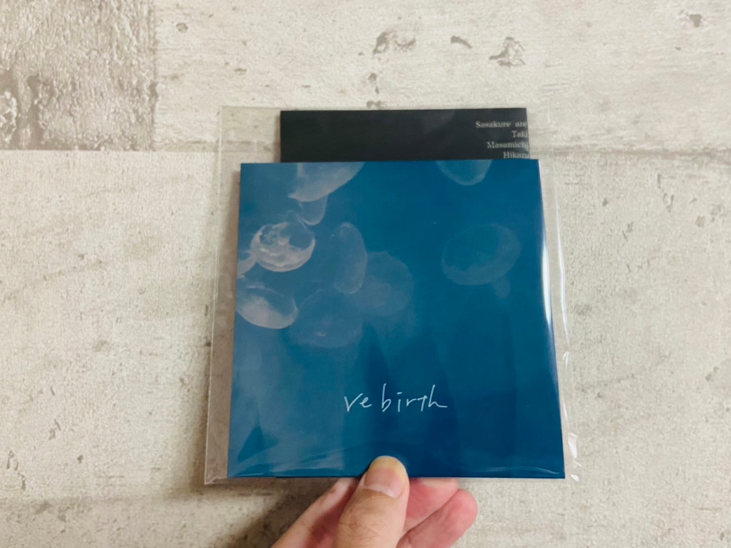 The Rebirth 7インチレコード Zine & CD】ささくれ / 「rebirth」 | HOLIDAY! RECORDS DISTRO